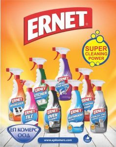 ERNET